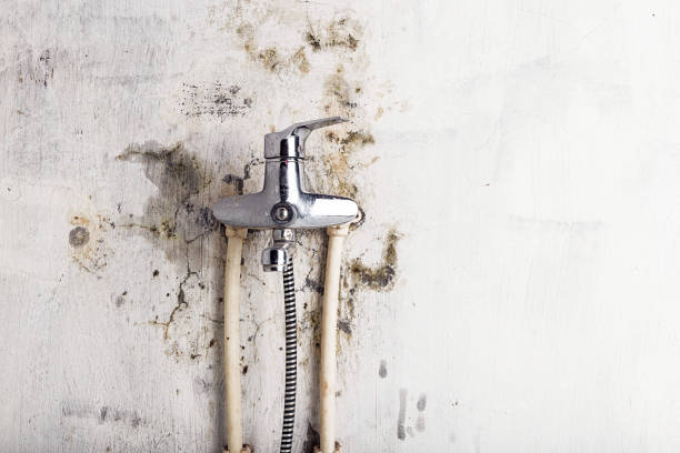 Best Residential Mold Remediation in Yountville, CA