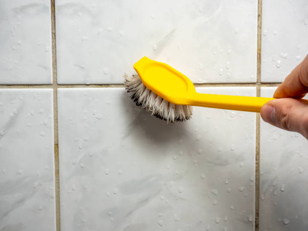 Best Preventive Mold Services in Yountville, CA