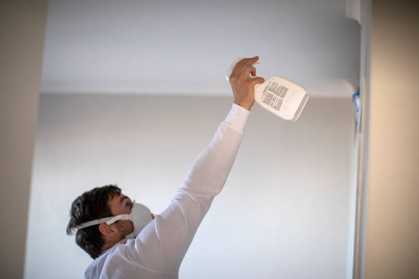Best DIY Mold Remediation Support Services in Yountville, CA