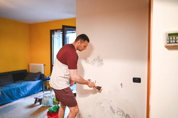 Best Industrial Mold Remediation in Yountville, CA