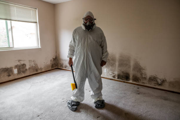 Trusted Yountville, CA Mold Remediation Experts